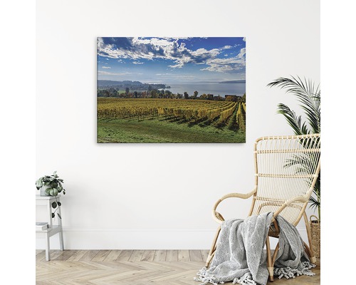 Tablou canvas cu motiv viță de vie deasupra unui scaun din răchită