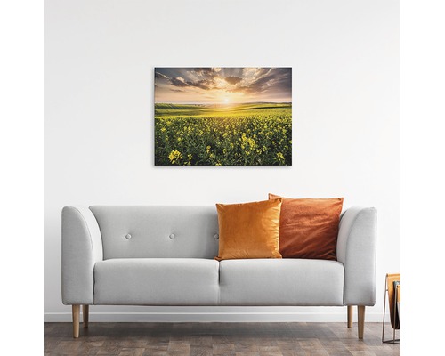 Tablou de perete cu câmp de rapiță la răsărit deasupra unei canapele gri