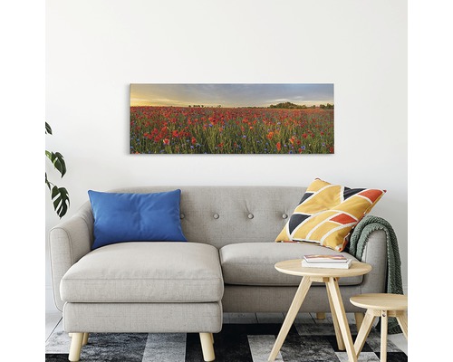 Tablou de perete cu câmp de maci deasupra canapelei