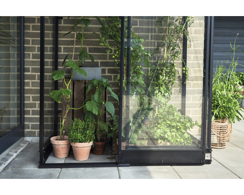 Seră cu plante în ghivece și cutii