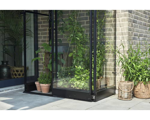 Seră cu plante în grădină