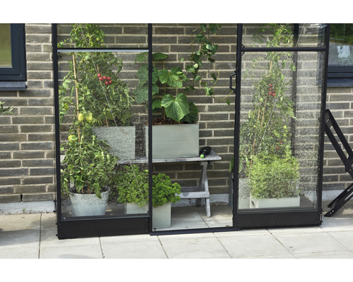 Seră cu plante în ghivece