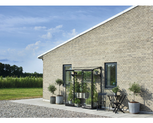 Seră de sticlă cu plante și măsuță laterală în fața unei case