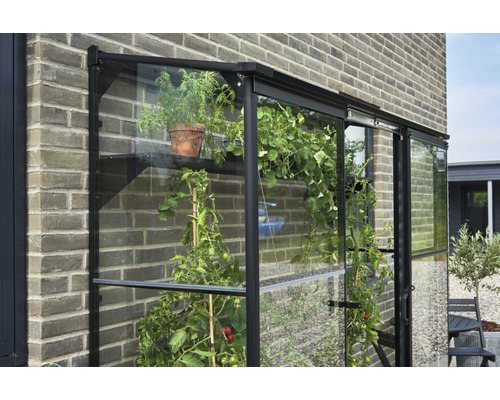 Seră adosată cu plante pe un zid de cărămidă