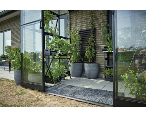 Seră cu plante în ghivece și rafturi pentru plante pe terasă