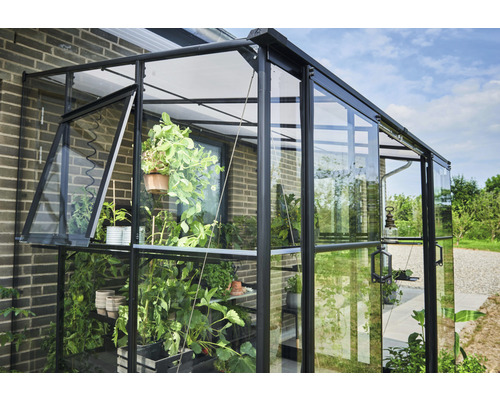 Seră cu plante și o fereastră deschisă pe un perete de casă