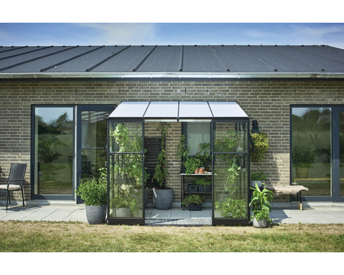 Seră din sticlă și aluminiu cu plante în fața unei case