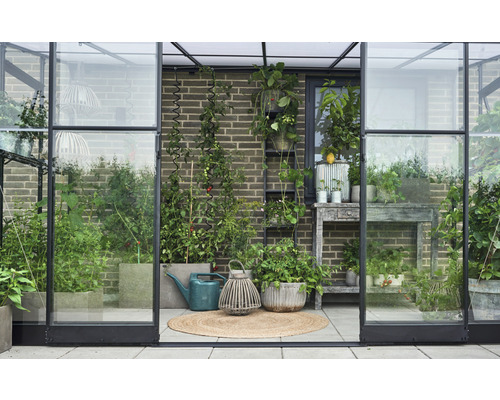 Seră cu plante, stropitoare și decorațiuni