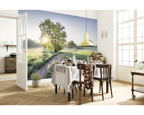Cameră de zi cu fototapet care prezintă un drum de câmp cu copac