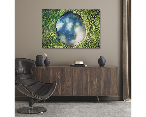 Living cu o imagine a unui lac înconjurat de copaci deasupra unui bufet.