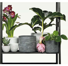 Mască pentru flori, Le Havre, ceramică, Ø 29 cm, alb