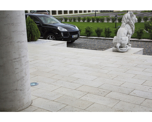 Terasa cu pavaj din piatră naturală, coloană și statuie cu leu