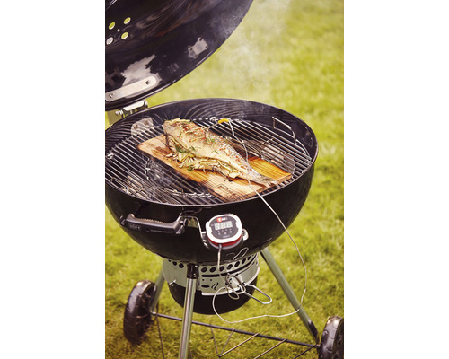 Grătar rotund cu pește pe scândură de lemn și termometru