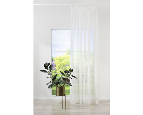 Scenă cu perdea albă din voal, plantă de apartament în ghiveci și fereastră