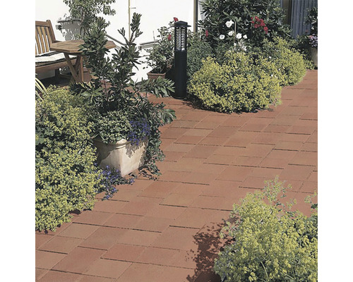 Terasa cu pavaj, mobilier de grădină și plante