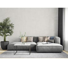 Cameră de zi cu canapea gri, măsuță de cafea, plantă de interior și covor