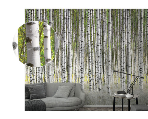 Tapet cu model de pădure de mesteacăn în sufragerie