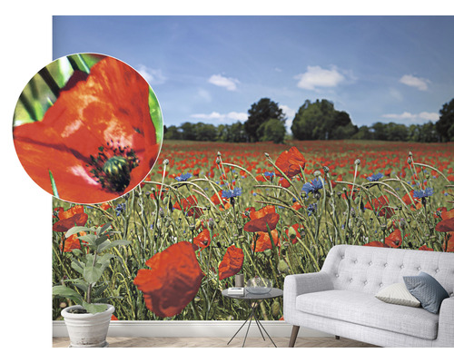 Cameră de zi cu tapet care prezintă un câmp de maci