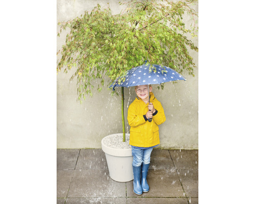 Un copil cu pelerină de ploaie galbenă și umbrelă stă în ploaie sub un copac într-un ghiveci.