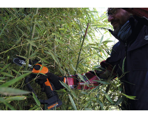 Un bărbat taie bambus cu un motoferăstrău cu acumulator în grădină