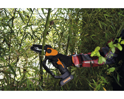 Drujba cu acumulator tăind bambus