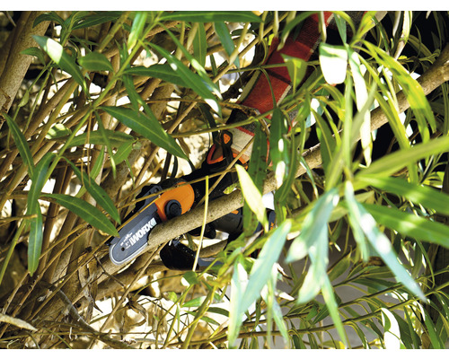 Un motoferăstrău cu acumulator taie crengile unui copac