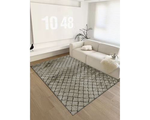 Living cu covor cu model de pavaj, canapea și decorațiuni.