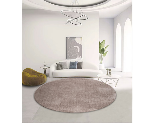 Cameră de zi cu covor rotund, canapea și decorațiuni