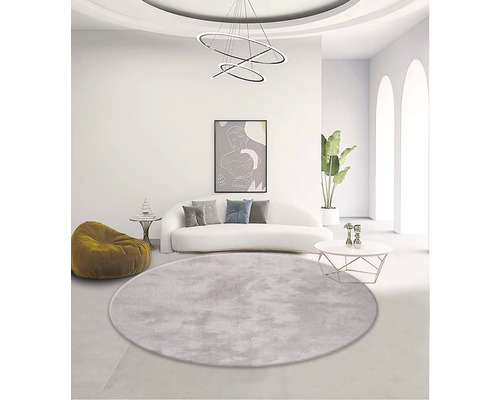 Living luminos cu canapea, fotoliu, măsuță de cafea, plantă de interior, lampă și covor rotund