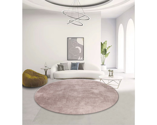 Sufragerie cu covor rotund, canapea și decorațiuni