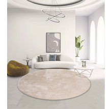 Living luminos cu covor rotund, canapea, lampă și decorațiuni