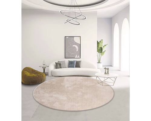 Living luminos cu covor rotund, canapea, lampă și decorațiuni