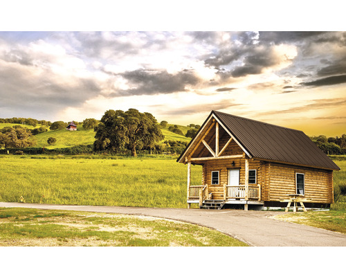 Cabana din lemn cu pereți din lemn și acoperiș metalic într-un cadru rural.