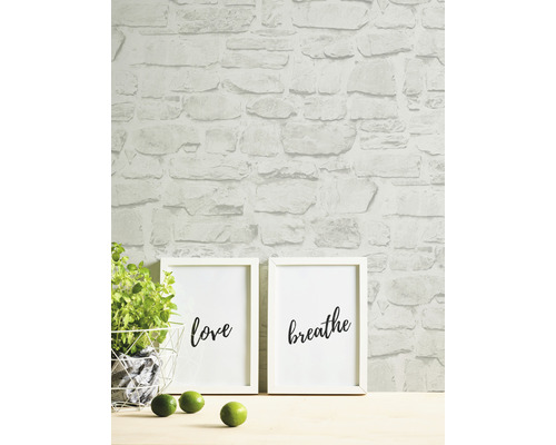 Cameră de zi cu tapet de piatră, imagini și plante