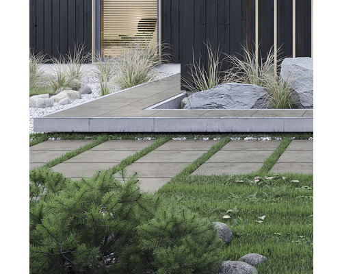 Exterior cu pavaje, pietre și plante