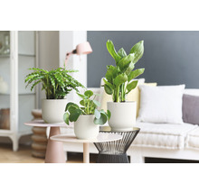 Mască pentru ghiveci Elho Vibes plastic Ø 18 cm H 16,8 cm alb
