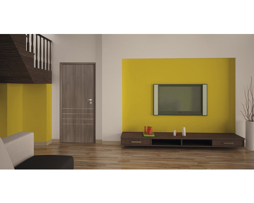 Living cu ușă din lemn, televizor și mobilier de living