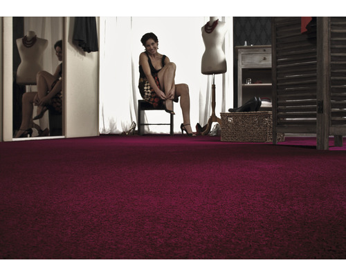 Scenă cu o femeie într-un dressing cu mochetă