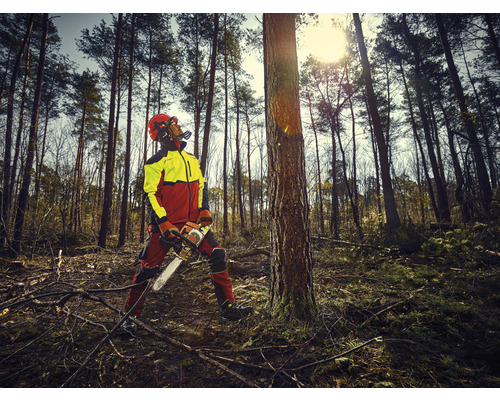 Pădurar cu motoferăstrău și echipament de protecție în pădure