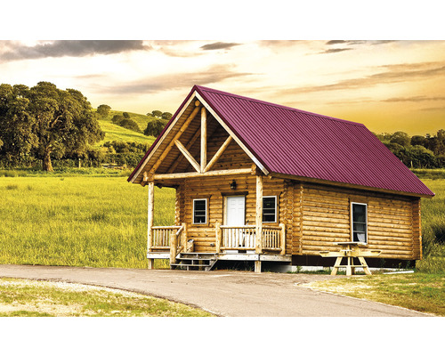 Cabana din lemn cu acoperiș metalic în zona rurală