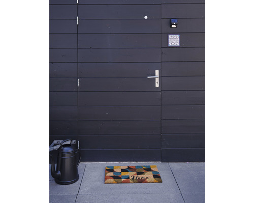 Zona de intrare cu covoraș, stropitoare și ușă de intrare