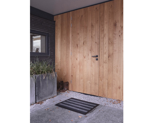Zonă de intrare cu ușă din lemn, covoraș de intrare și jardinieră