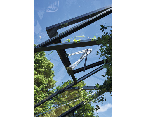 Imagine detaliată a unei ferestre de seră cu cadru negru și deschizător de ferestre pe un cer albastru.