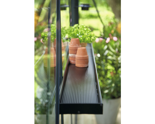 Raft cu ghivece de teracotă în seră