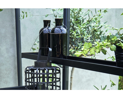 Scenă decorativă cu felinar, sticle și plante în raft