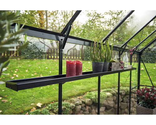 Interior de seră cu raft, plante și decorațiuni