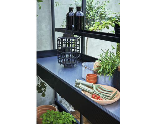 Scenă de grădină cu plante, lanternă și unelte de grădinărit pe un raft