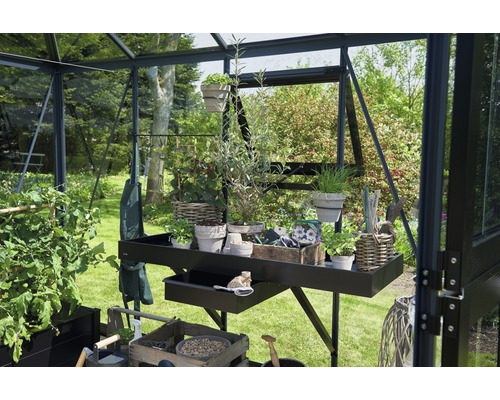 Interior de seră cu masă de lucru, plante și unelte de grădinărit