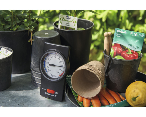 Scenă de grădină cu plante, ghivece, termometru marca Juliana, semințe și legume