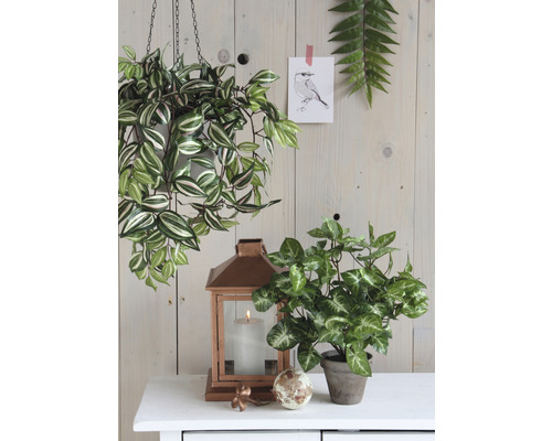 Scenă decorativă cu plantă suspendată, felinar de masă și plantă de interior pe o masă albă